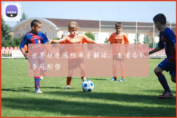 世界杯夺冠赔率全解读：看清各队争冠形势